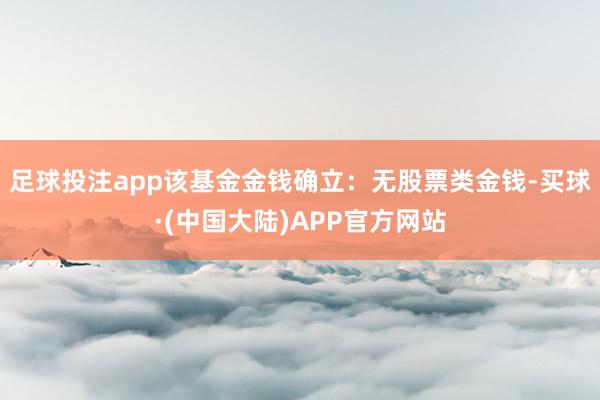 足球投注app该基金金钱确立：无股票类金钱-买球·(中国大陆)APP官方网站