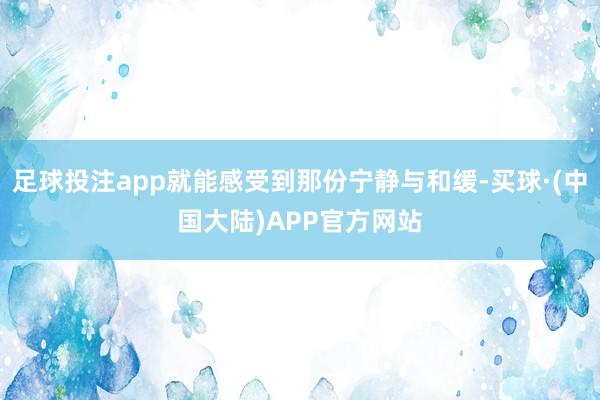 足球投注app就能感受到那份宁静与和缓-买球·(中国大陆)APP官方网站