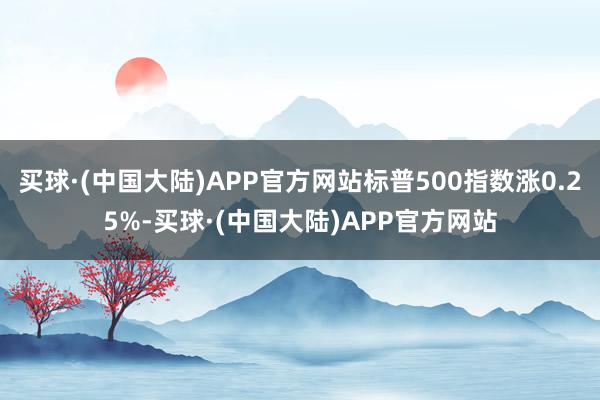 买球·(中国大陆)APP官方网站标普500指数涨0.25%-买球·(中国大陆)APP官方网站
