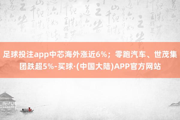 足球投注app中芯海外涨近6%；零跑汽车、世茂集团跌超5%-买球·(中国大陆)APP官方网站