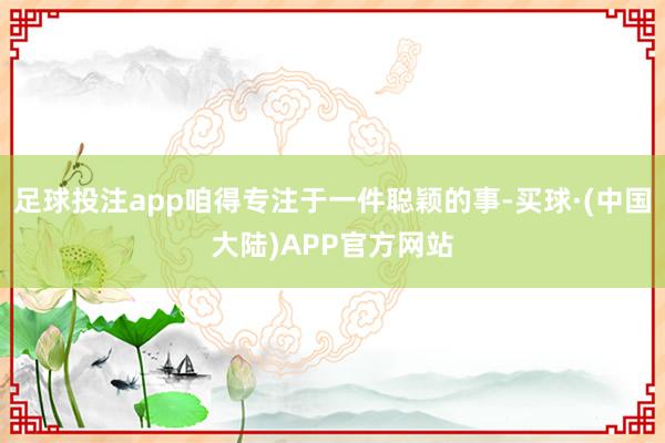足球投注app咱得专注于一件聪颖的事-买球·(中国大陆)APP官方网站