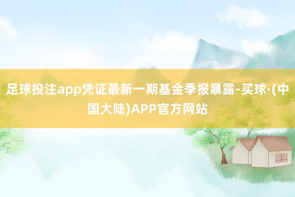 足球投注app凭证最新一期基金季报暴露-买球·(中国大陆)APP官方网站