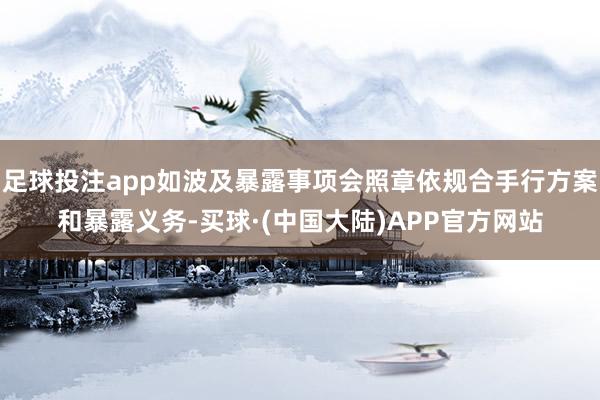 足球投注app如波及暴露事项会照章依规合手行方案和暴露义务-买球·(中国大陆)APP官方网站