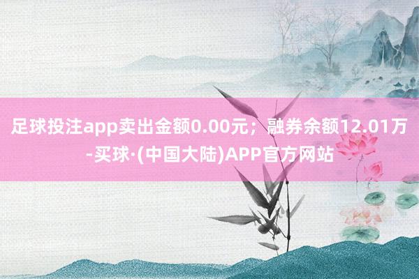 足球投注app卖出金额0.00元；融券余额12.01万-买球·(中国大陆)APP官方网站