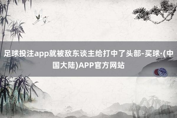 足球投注app就被敌东谈主给打中了头部-买球·(中国大陆)APP官方网站