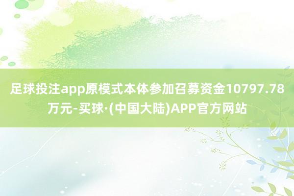足球投注app原模式本体参加召募资金10797.78万元-买球·(中国大陆)APP官方网站