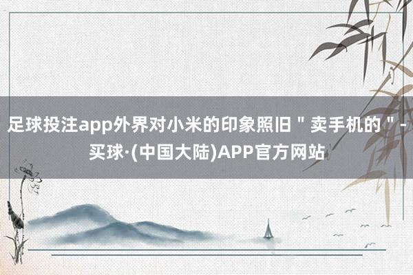 足球投注app外界对小米的印象照旧＂卖手机的＂-买球·(中国大陆)APP官方网站