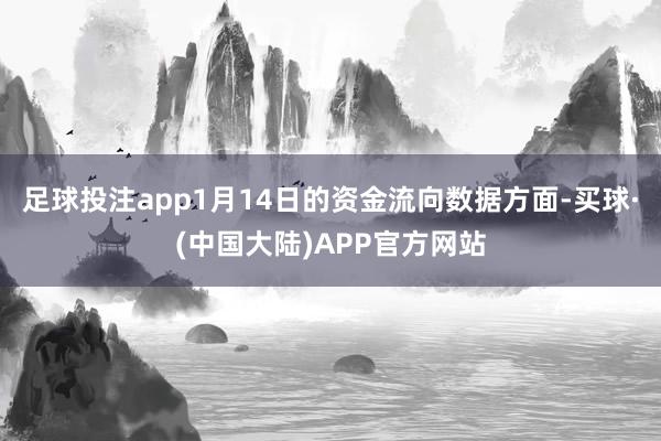 足球投注app1月14日的资金流向数据方面-买球·(中国大陆)APP官方网站