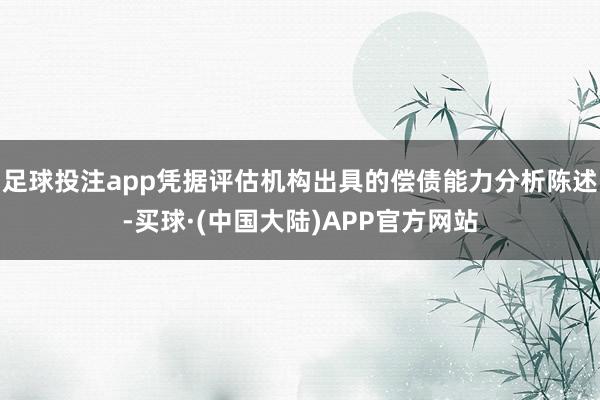 足球投注app凭据评估机构出具的偿债能力分析陈述-买球·(中国大陆)APP官方网站