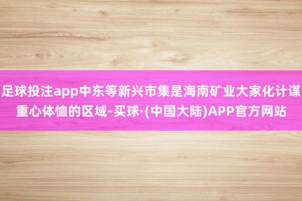 足球投注app中东等新兴市集是海南矿业大家化计谋重心体恤的区域-买球·(中国大陆)APP官方网站