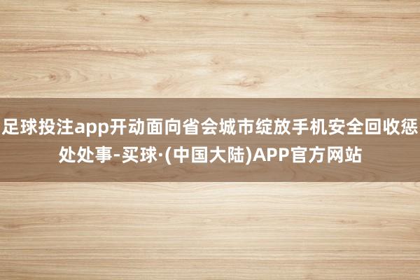足球投注app开动面向省会城市绽放手机安全回收惩处处事-买球·(中国大陆)APP官方网站