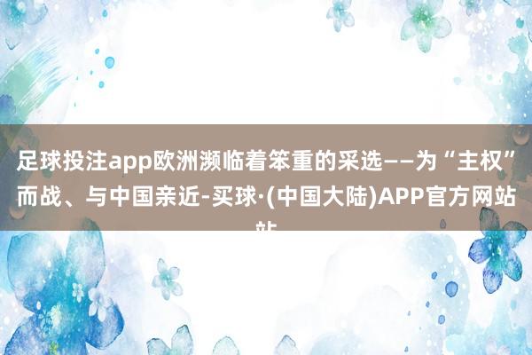足球投注app欧洲濒临着笨重的采选——为“主权”而战、与中国亲近-买球·(中国大陆)APP官方网站