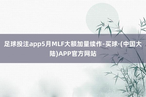 足球投注app5月MLF大额加量续作-买球·(中国大陆)APP官方网站