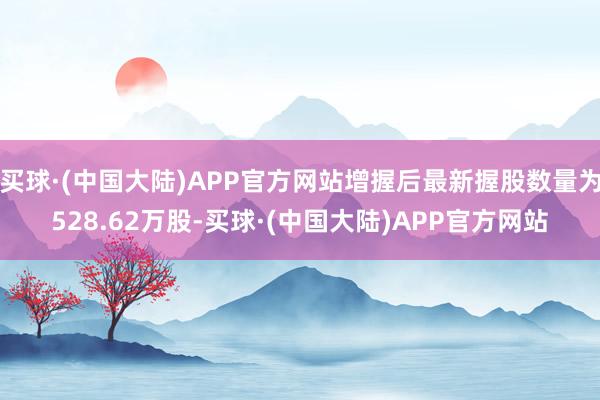 买球·(中国大陆)APP官方网站增握后最新握股数量为528.62万股-买球·(中国大陆)APP官方网站