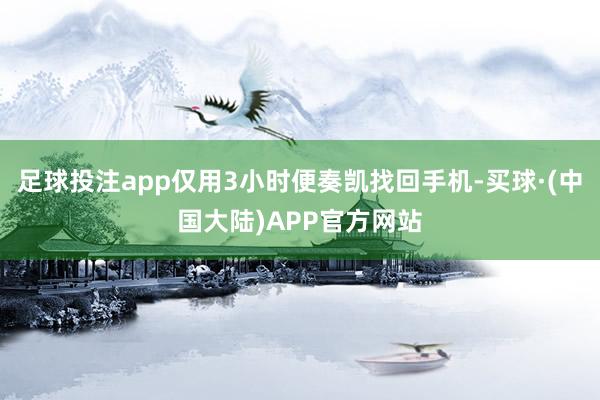 足球投注app仅用3小时便奏凯找回手机-买球·(中国大陆)APP官方网站