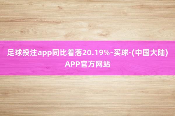 足球投注app同比着落20.19%-买球·(中国大陆)APP官方网站