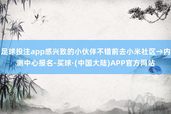 足球投注app感兴致的小伙伴不错前去小米社区→内测中心报名-买球·(中国大陆)APP官方网站