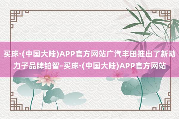 买球·(中国大陆)APP官方网站广汽丰田推出了新动力子品牌铂智-买球·(中国大陆)APP官方网站