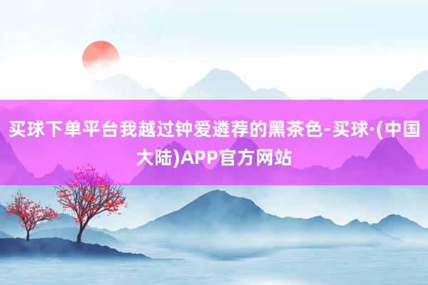 买球下单平台我越过钟爱遴荐的黑茶色-买球·(中国大陆)APP官方网站