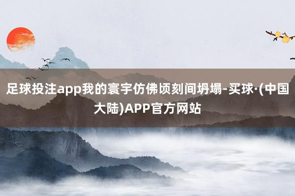 足球投注app我的寰宇仿佛顷刻间坍塌-买球·(中国大陆)APP官方网站