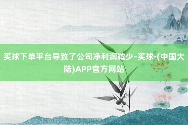买球下单平台导致了公司净利润减少-买球·(中国大陆)APP官方网站