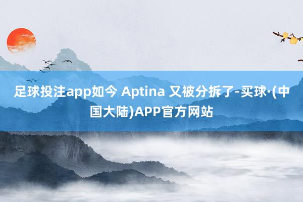 足球投注app如今 Aptina 又被分拆了-买球·(中国大陆)APP官方网站