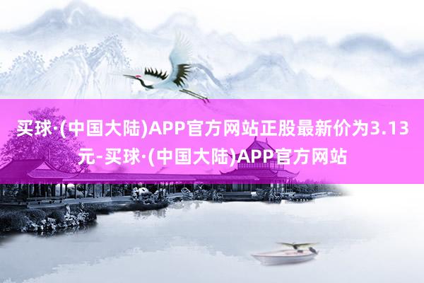买球·(中国大陆)APP官方网站正股最新价为3.13元-买球·(中国大陆)APP官方网站