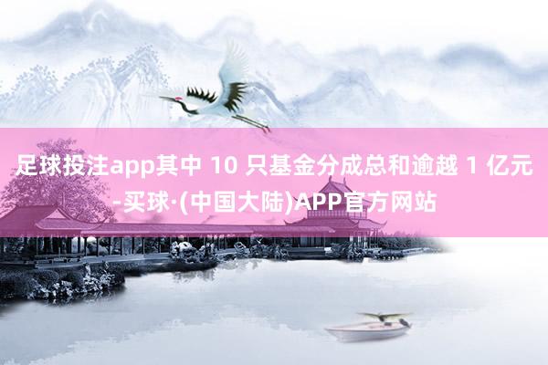 足球投注app其中 10 只基金分成总和逾越 1 亿元-买球·(中国大陆)APP官方网站