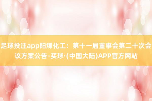 足球投注app阳煤化工：第十一届董事会第二十次会议方案公告-买球·(中国大陆)APP官方网站