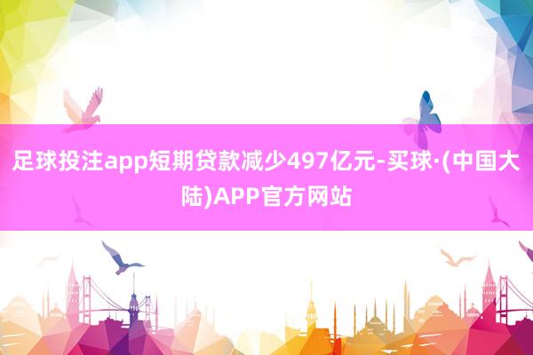 足球投注app短期贷款减少497亿元-买球·(中国大陆)APP官方网站