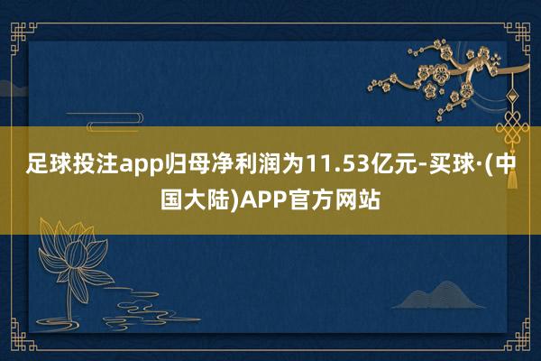 足球投注app归母净利润为11.53亿元-买球·(中国大陆)APP官方网站