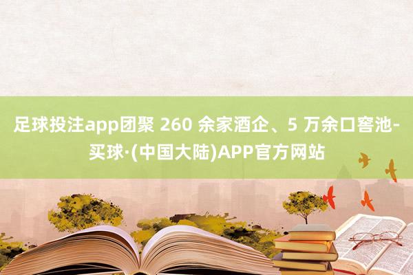 足球投注app团聚 260 余家酒企、5 万余口窖池-买球·(中国大陆)APP官方网站