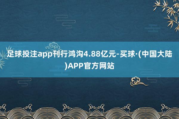足球投注app刊行鸿沟4.88亿元-买球·(中国大陆)APP官方网站