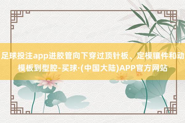足球投注app进胶管向下穿过顶针板、定模镶件和动模板到型腔-买球·(中国大陆)APP官方网站