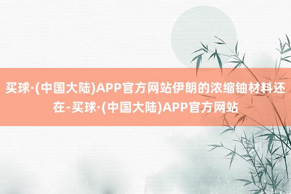 买球·(中国大陆)APP官方网站伊朗的浓缩铀材料还在-买球·(中国大陆)APP官方网站