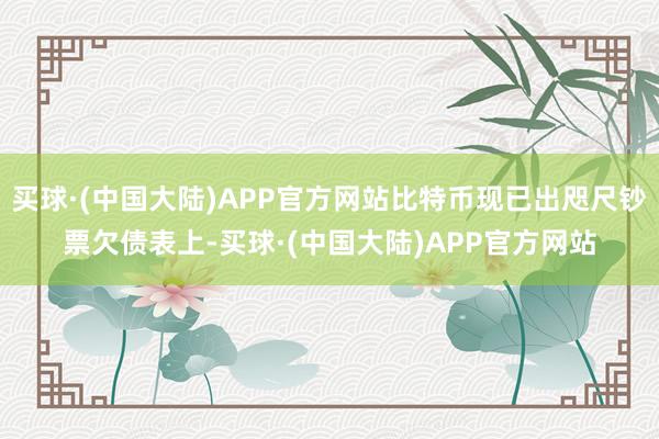 买球·(中国大陆)APP官方网站比特币现已出咫尺钞票欠债表上-买球·(中国大陆)APP官方网站