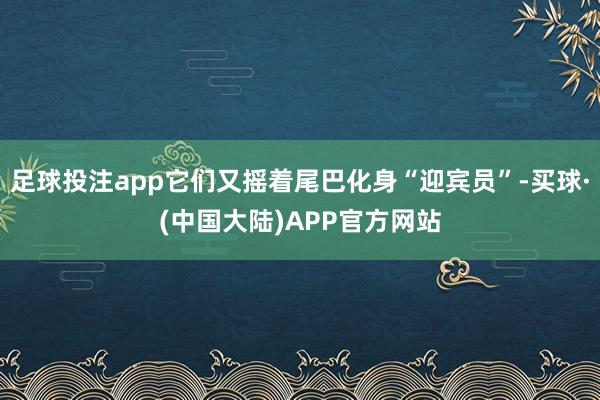 足球投注app它们又摇着尾巴化身“迎宾员”-买球·(中国大陆)APP官方网站