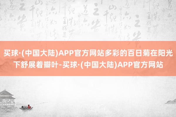 买球·(中国大陆)APP官方网站多彩的百日菊在阳光下舒展着瓣叶-买球·(中国大陆)APP官方网站