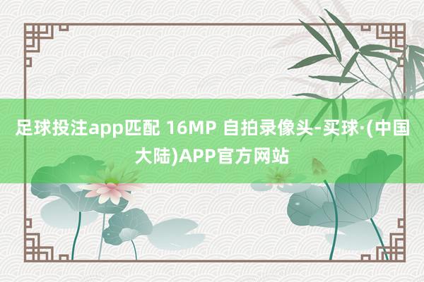 足球投注app匹配 16MP 自拍录像头-买球·(中国大陆)APP官方网站