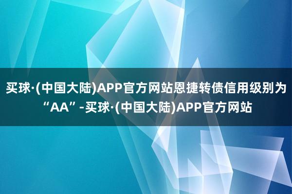 买球·(中国大陆)APP官方网站恩捷转债信用级别为“AA”-买球·(中国大陆)APP官方网站