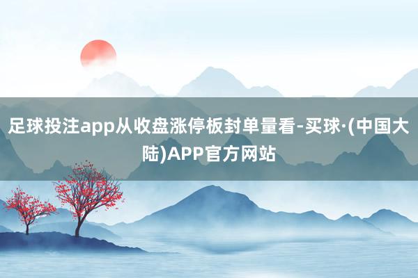 足球投注app从收盘涨停板封单量看-买球·(中国大陆)APP官方网站