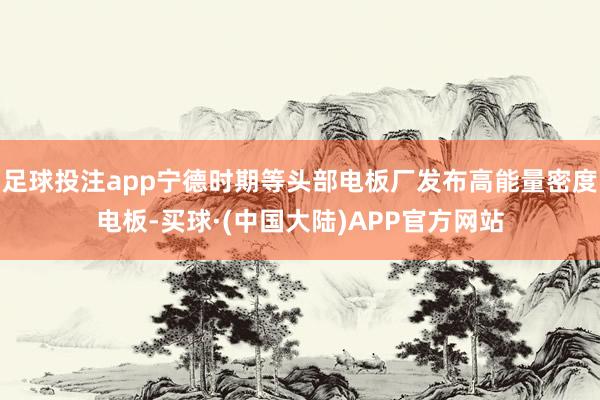 足球投注app宁德时期等头部电板厂发布高能量密度电板-买球·(中国大陆)APP官方网站