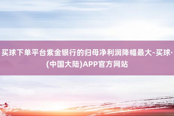 买球下单平台紫金银行的归母净利润降幅最大-买球·(中国大陆)APP官方网站